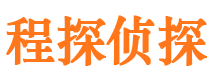 江洲市侦探公司